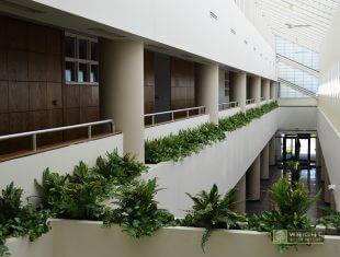 Office Atrium Plantscaping