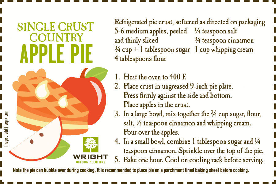blog-post-156-single-crust-country-apple-pie