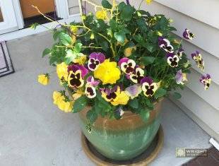 Seasonal Maintenance Spring 3