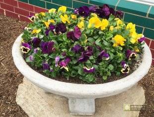 Seasonal Maintenance Spring 5