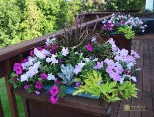 Seasonal Maintenance Summer 5