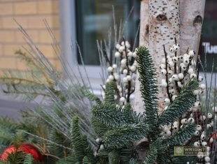 Seasonal Maintenance Winter 6