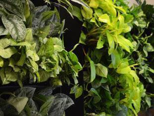 living wall planter with a variety of green plants