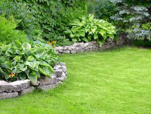 short stone wall in back yard with green grass and a variety of green plants