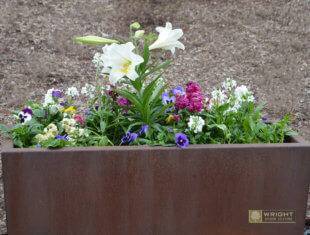 Seasonal Maintenance Spring 11