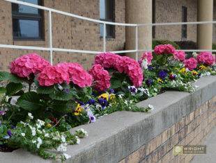 Seasonal Maintenance Spring 8