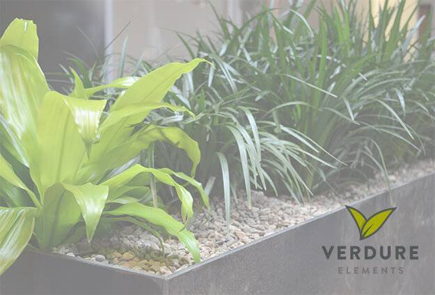 verdure elements indoor plant container
