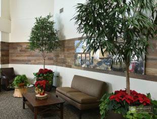 Holiday Lobby – Poinsettia