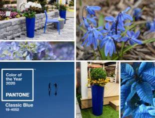 graphic of plants and containers in shades of the 2020 Pantone color of the year, classic blue