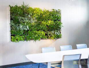 Conference Room Living Wall