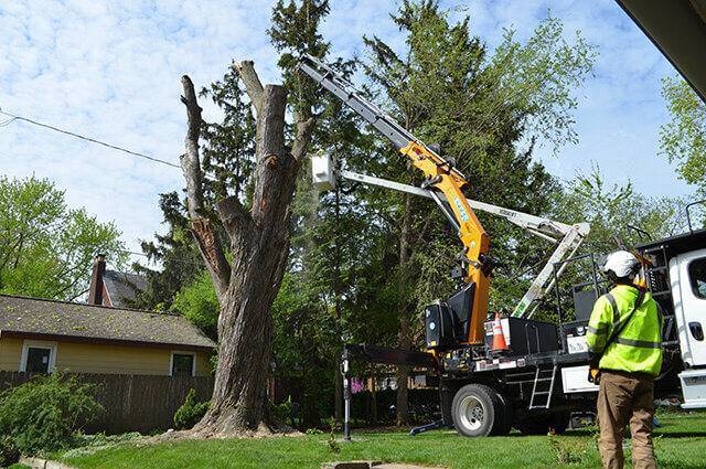 Wright Outdoor Solutions employee performing a residential tree branch removal using a bucket truck