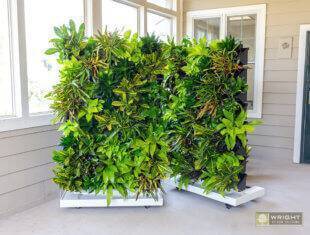 Rolling Living Wall