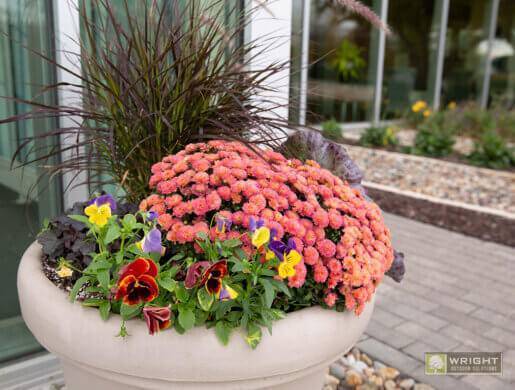 fall containers with assorted colors of mums and ornamental cabbage located in front of an office building