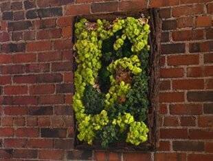 rectangular moss wall art hanging on brick wall