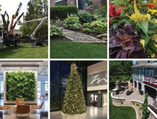 6 images in a grid including: tree pruning with bucket truck, green grass, plants and walkway, and yellow, red, purple and green plants inside outdoor pot, bright lobby with holiday wreath above fireplace, indoor snake plant in planter, and a sidewalk with green grass, Chairs and living plant wall, Christmas tree in atrium, aerial view of a patio, fireplace, seating, landscaping and deck
