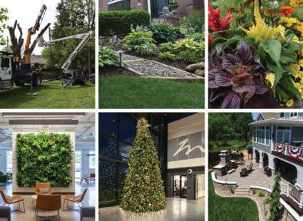 6 images in a grid including: tree pruning with bucket truck, green grass, plants and walkway, and yellow, red, purple and green plants inside outdoor pot, bright lobby with holiday wreath above fireplace, indoor snake plant in planter, and a sidewalk with green grass, Chairs and living plant wall, Christmas tree in atrium, aerial view of a patio, fireplace, seating, landscaping and deck