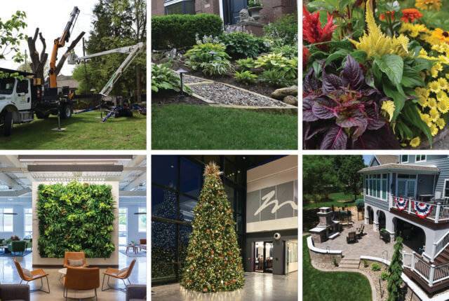 6 images in a grid including: tree pruning with bucket truck, green grass, plants and walkway, and yellow, red, purple and green plants inside outdoor pot, bright lobby with holiday wreath above fireplace, indoor snake plant in planter, and a sidewalk with green grass, Chairs and living plant wall, Christmas tree in atrium, aerial view of a patio, fireplace, seating, landscaping and deck