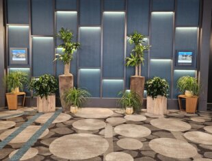 Event Plant Rental