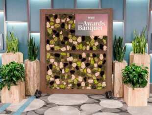 Moss Wall with Planters